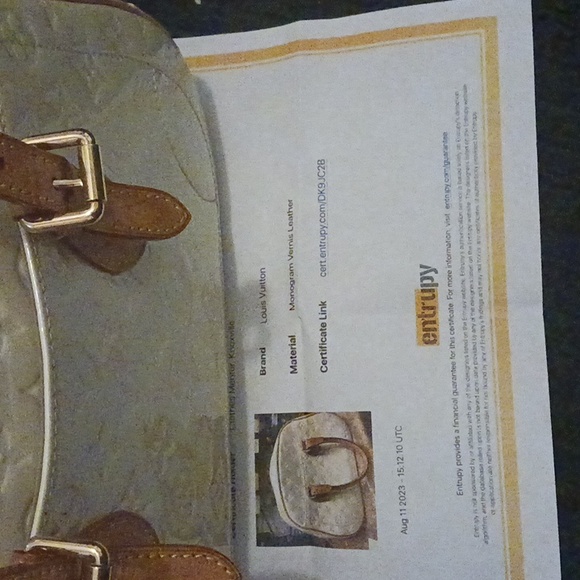 (Authenticated)Louis Vuitton Vernis Bag - Picture 11 of 11